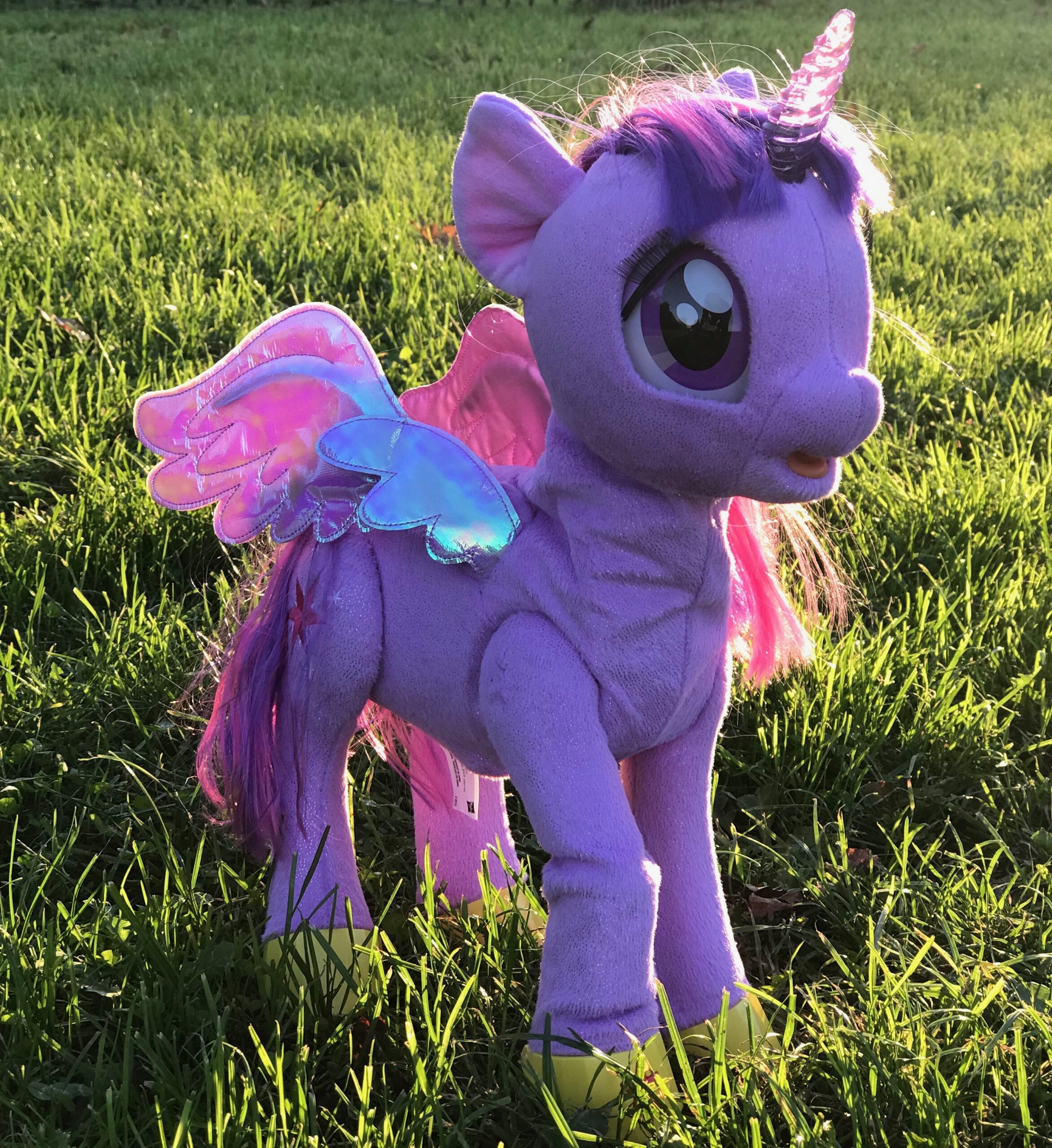 My Little Pony